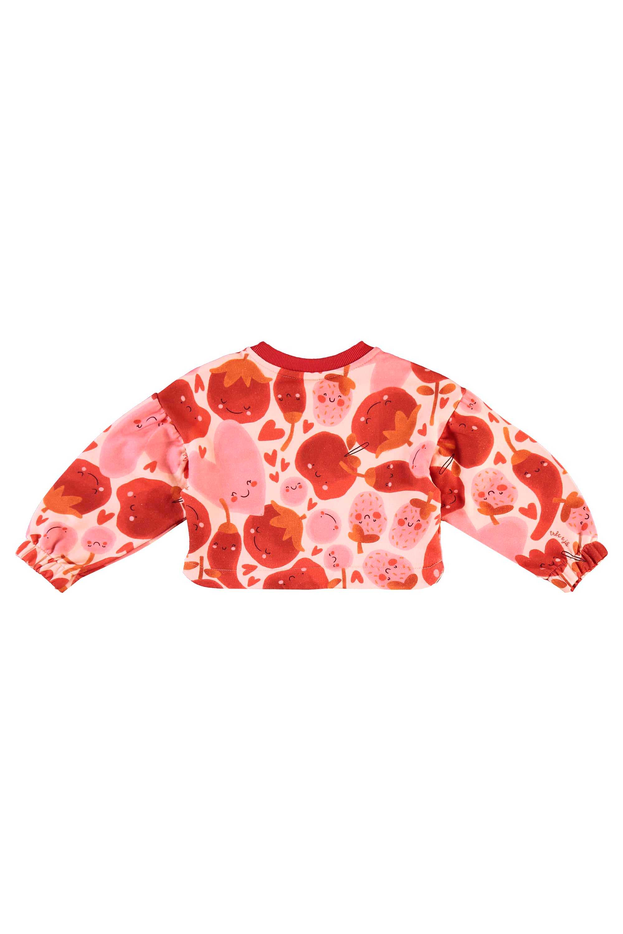 Conjunto Infantil Frutas Vermelhas com Blusão Cropped e Calça (Off White) Três e Já - Imagem 20